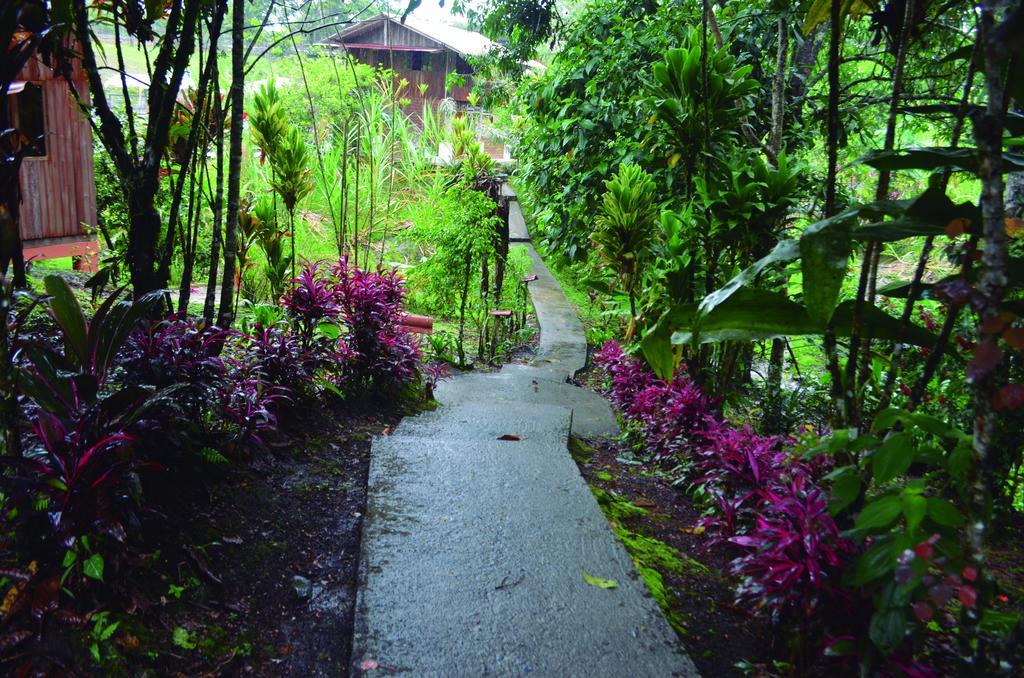 Hotel Hosteria Kindi Wasi Puyo Exterior foto